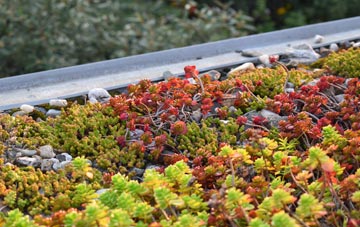 the cost of Hodnetheath green roof installation
