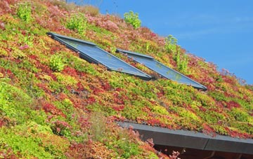 Hodnetheath living roof systems
