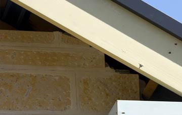soffit repair Hodnetheath