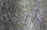 Hodnetheath fibreglass roof work